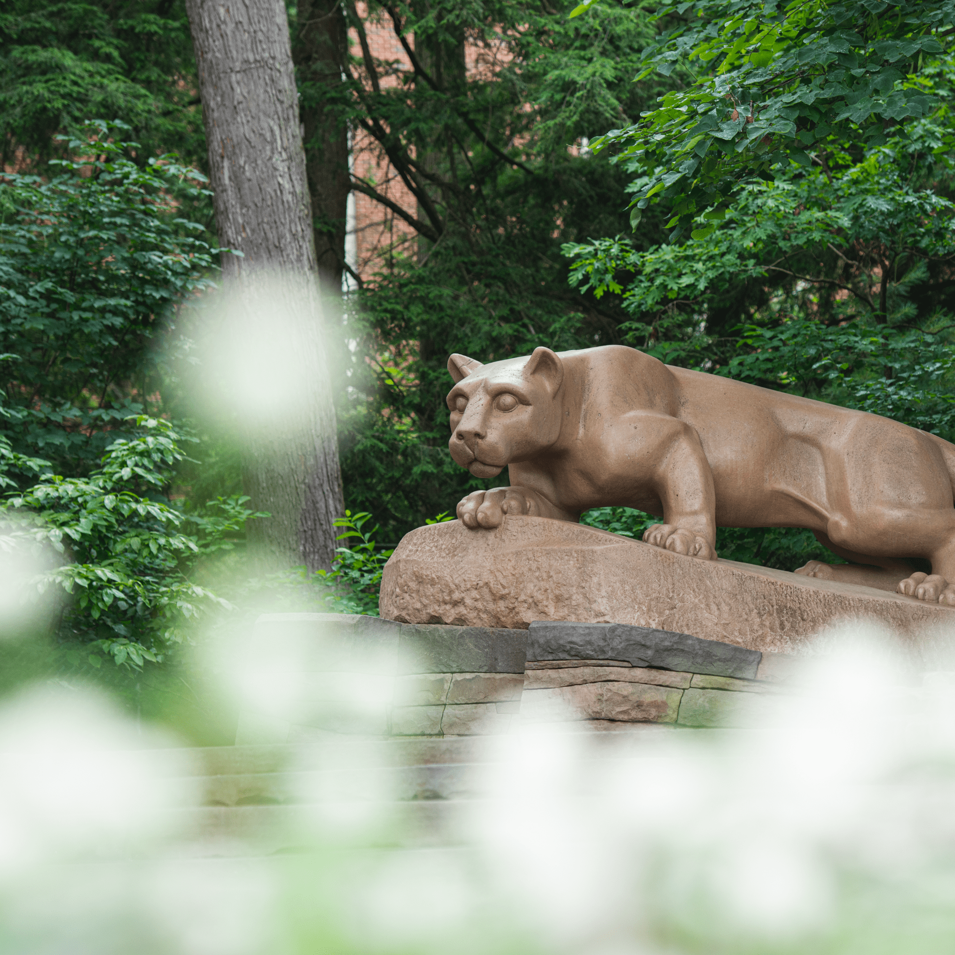 Nittany Lion